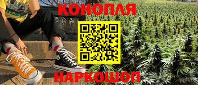 шишки Тулун