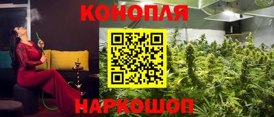 шишки Тулун