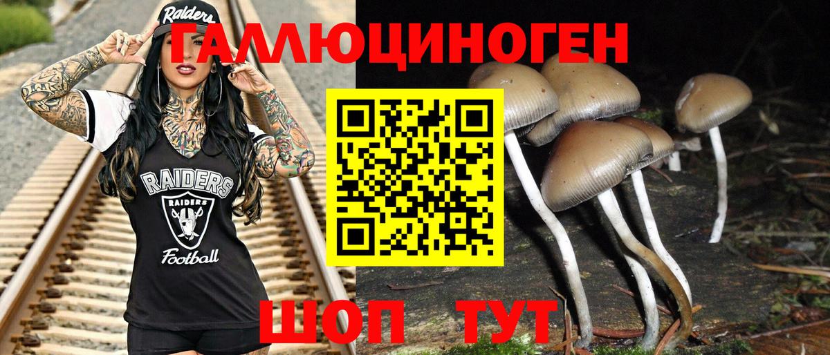 Москва  Псилоцибиновые грибы мицелий  Псилоцибиновые грибы GOLDEN TEACHER  закладка  Вход с VPN 